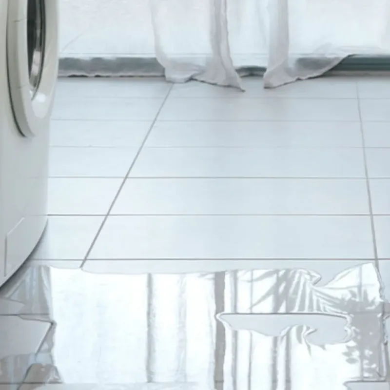 Appliance Leak Cleanup in Saint Dennis, KY