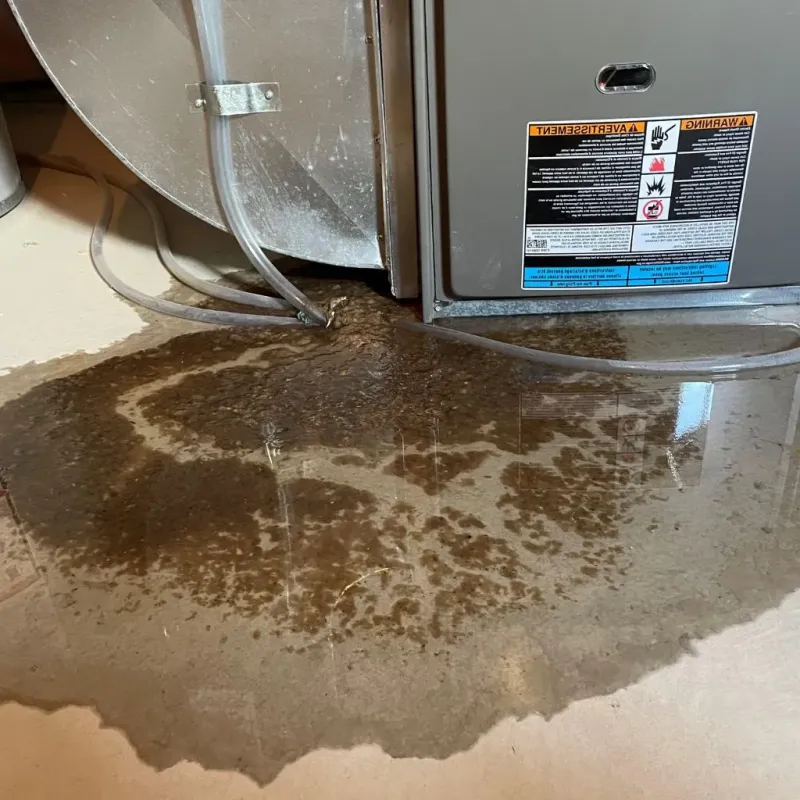 Pipe Burst and Leak Restoration in Saint Dennis, KY