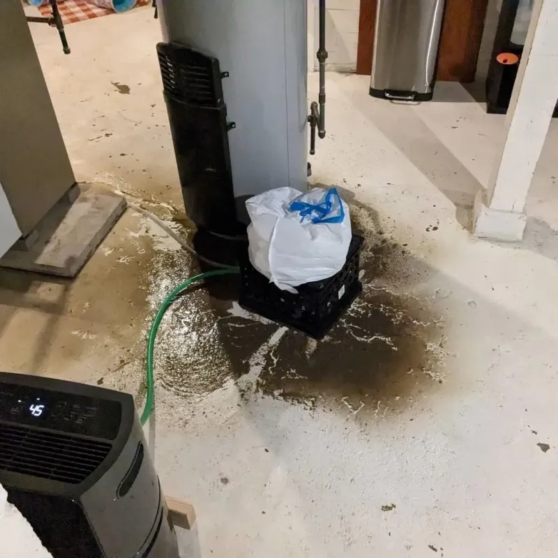 Sewage Backup Cleanup Service in Saint Dennis, KY